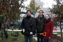 В Москве началось озеленение по программе «Моя улица»